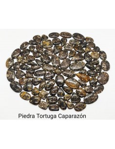 Tortuga Caparazon Piedra...