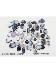 Dendrite Opalo Piedra Capuchon