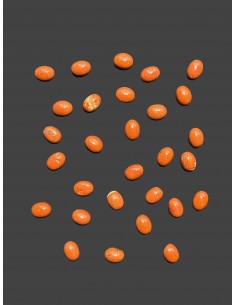 copy of Lapis Lazuli Piedra... 2