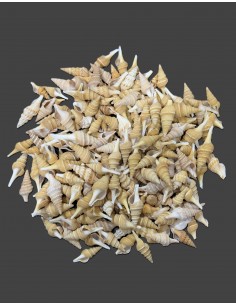 Caracoles Sueltos 500 Gramos