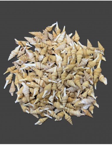 Caracoles Sueltos 500 Gramos