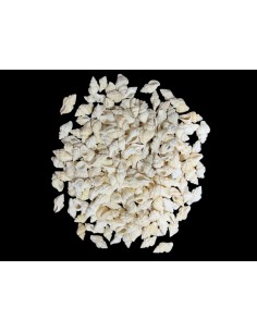 Caracoles Sueltos 500 Gramos 2