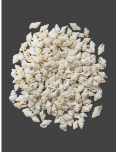 Caracoles Sueltos 500 Gramos