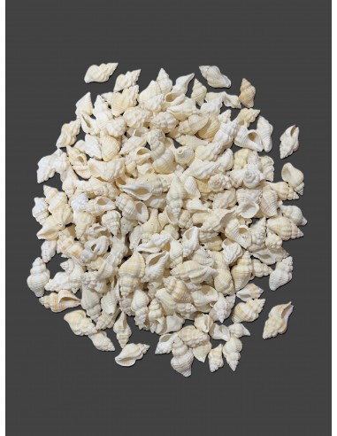 Caracoles Sueltos 500 Gramos