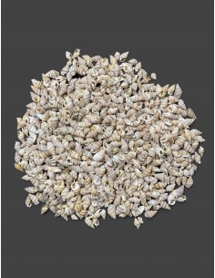 Caracoles Sueltos 500 Gramos