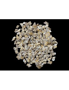 Caracoles Sueltos 500 Gramos 2