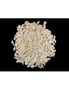 Caracoles Sueltos 500 Gramos 2