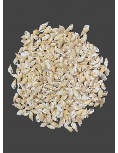 Caracoles Sueltos 500 Gramos