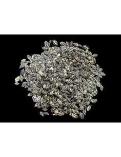 Caracoles Sueltos 500 Gramos 2