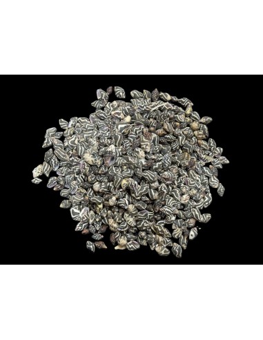 Caracoles Sueltos 500 Gramos