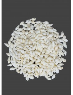 Caracoles Sueltos 500 Gramos