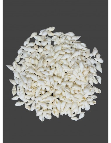 Caracoles Sueltos 500 Gramos