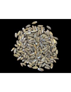 Caracoles Sueltos 500 Gramos 2