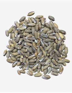 Caracoles Sueltos 500 Gramos