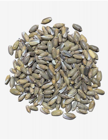 Caracoles Sueltos 500 Gramos