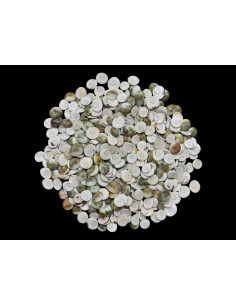 Caracoles Sueltos 500 Gramos 2