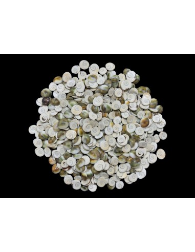 Caracoles Sueltos 500 Gramos