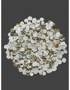 Caracoles Sueltos 500 Gramos