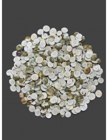 Caracoles Sueltos 500 Gramos