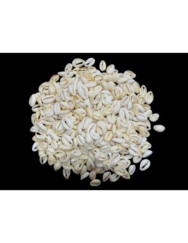 Caracoles Sueltos 500 Gramos