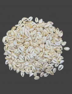 Caracoles Sueltos 500 Gramos