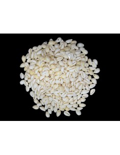 Caracoles Sueltos 500 Gramos 2