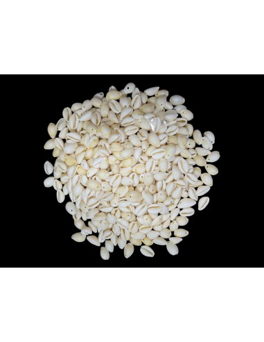 Caracoles Sueltos 500 Gramos