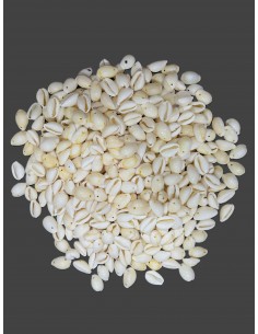 Caracoles Sueltos 500 Gramos