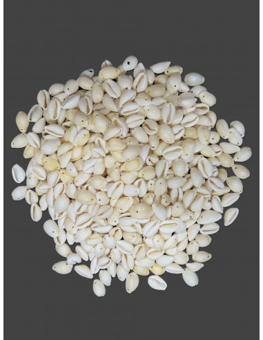 Caracoles Sueltos 500 Gramos