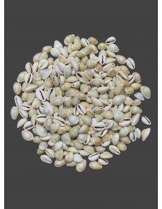 Caracoles Sueltos 500 Gramos