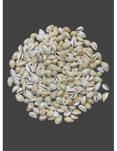 Caracoles Sueltos 500 Gramos