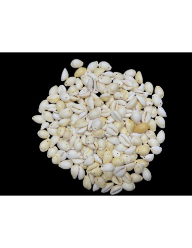 Caracoles Sueltos 500 Gramos