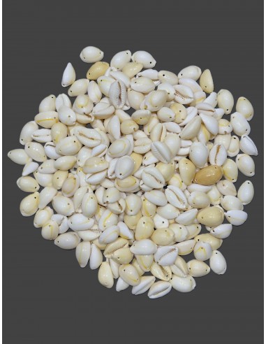 Caracoles Sueltos 500 Gramos